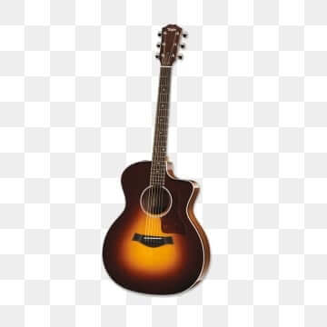 Guitarra de concierto profesional